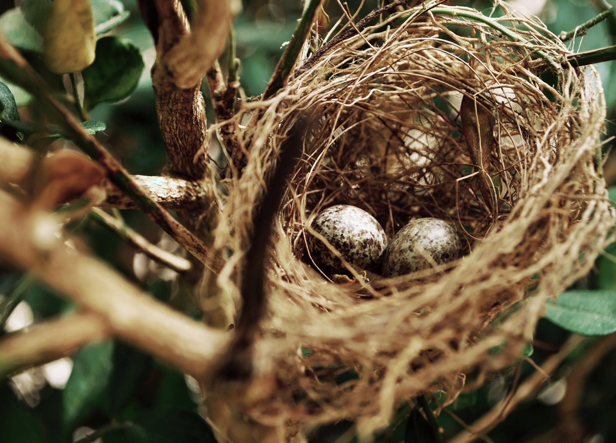 How Do You Nurture Cold Leads In Fund Marketing?