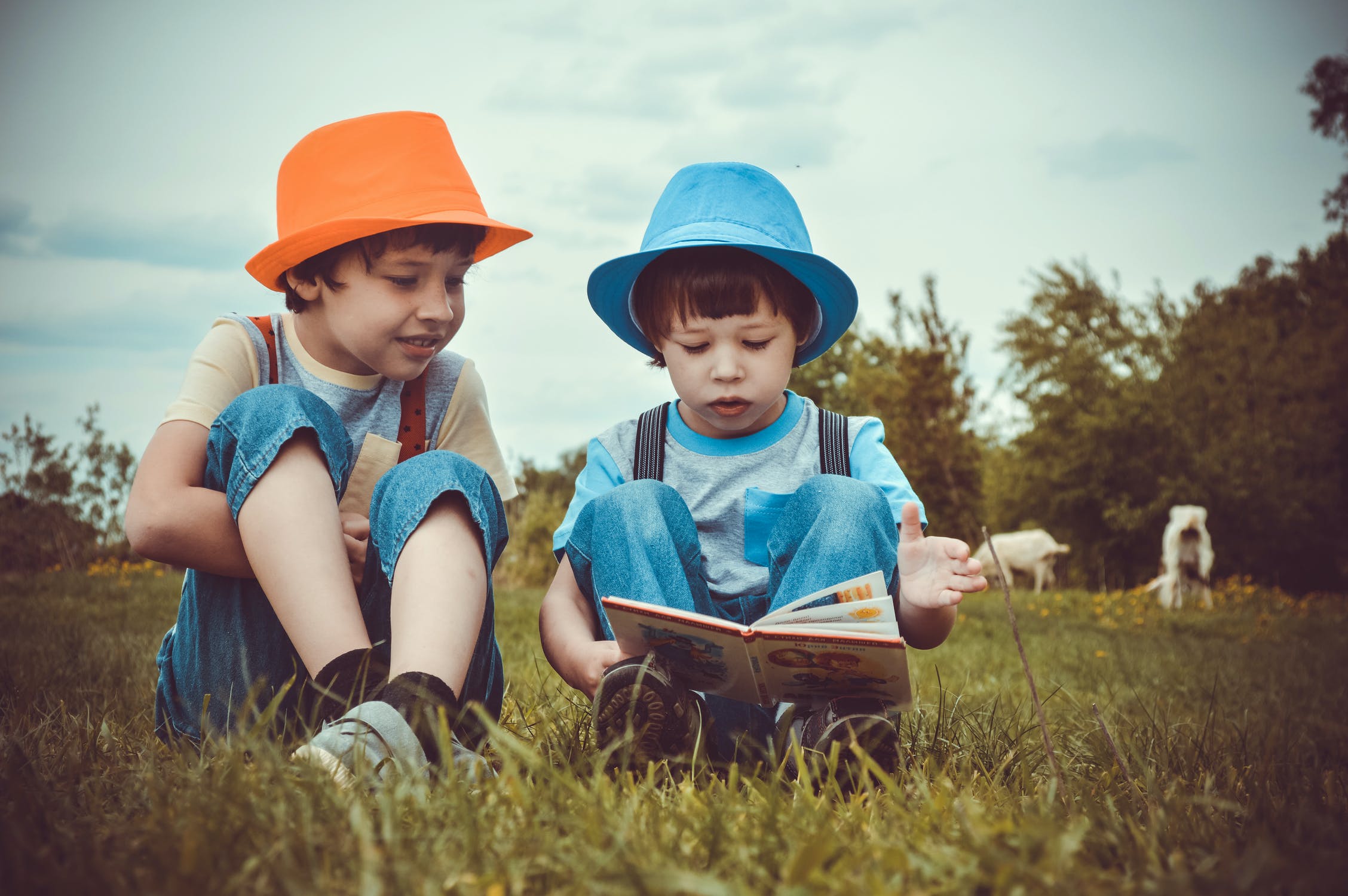 How Do You Write Fund Marketing Blogs That Investors Want To Read?