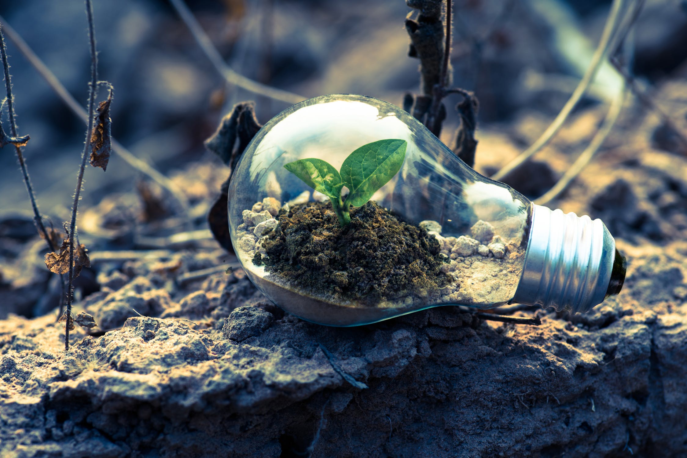 How Data Science Can Help You Raise AuM Through Digital Marketing – Part Two