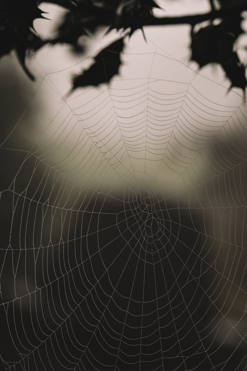 Who Are The ‘Invisible Investors’ And What Do They Mean For Fund Marketing?